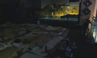 お泊り水族館「亜南極ペンギン室前での就寝」
