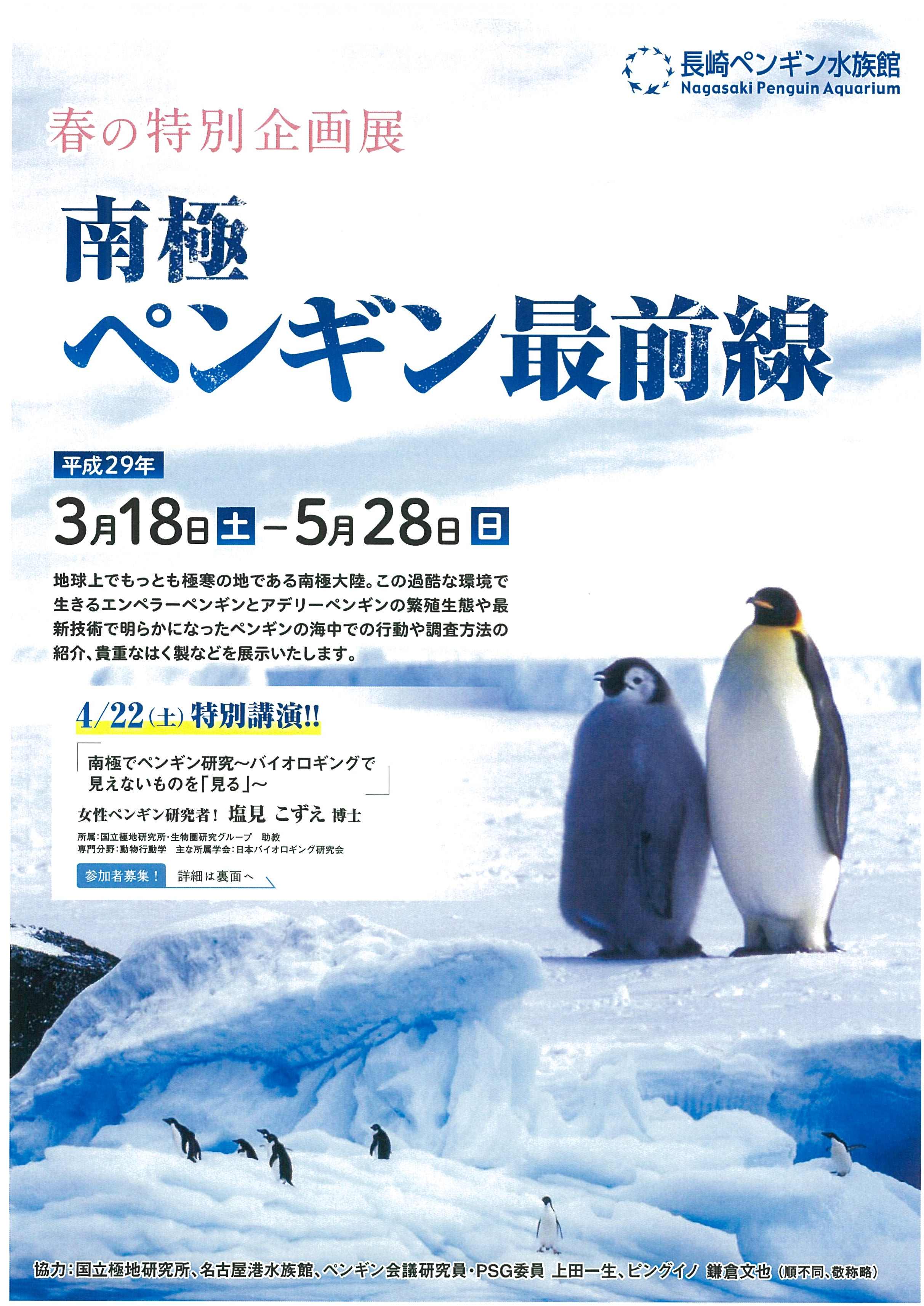 長崎ペンギン水族館 南極ペンギン最前線 海と日本project In ながさき