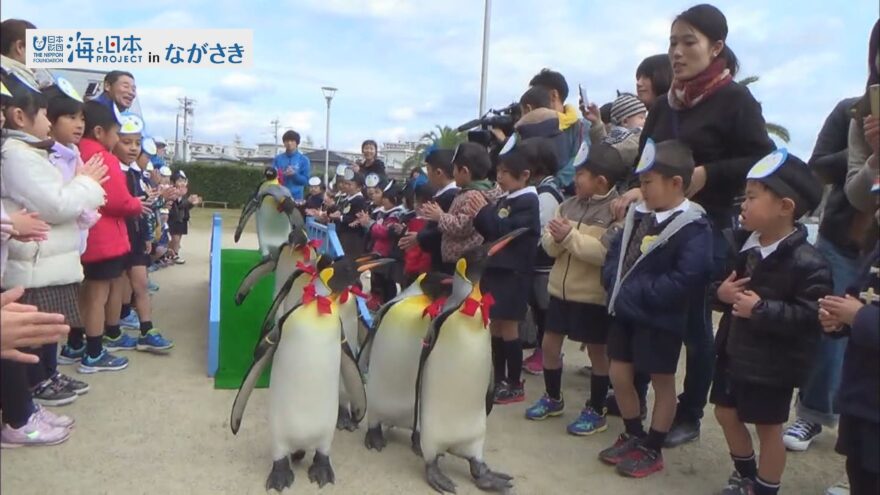 KTNみんなのニュース　毎年恒例！キングペンギンのパレード