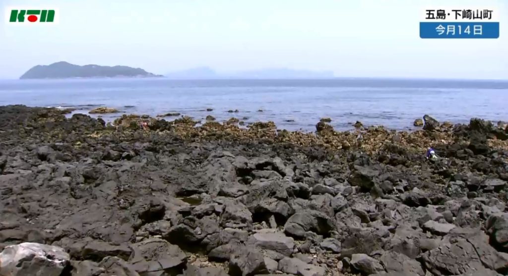 五島の海岸でウニ漁が解禁~KTNプライムニュース~ 海と日本PROJECT in ながさき
