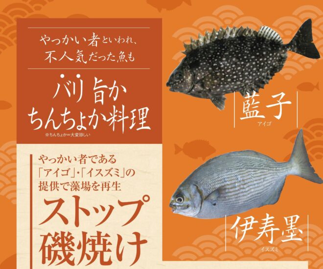 ストップ！磯焼け！海のやっかい者でバリ旨料理を。