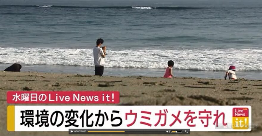 KTNニュース～海ガメを守れ！野母崎の海を守る女性の活動～