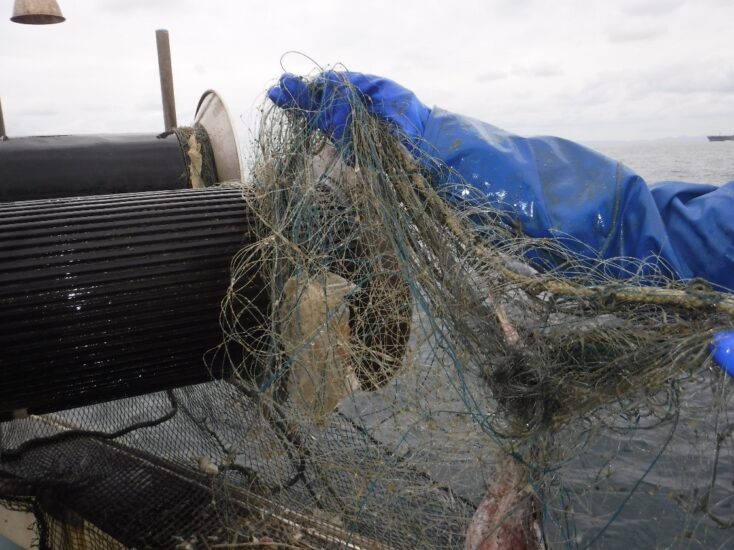固定式刺網漁業操業中における海洋プラスチック ごみ等の回収～長崎市三重漁業者青年部の取り組み