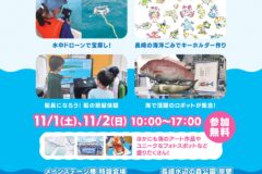 「海と日本プロジェクト㏌ラブフェス」11月1日、2日開催！