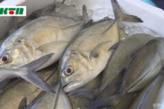 This is protected by copyright.