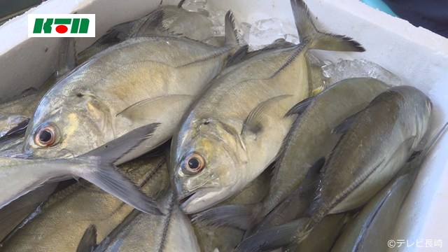 This is protected by copyright.