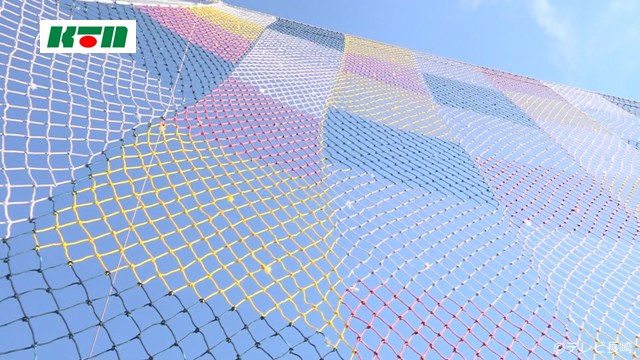 This is protected by copyright.