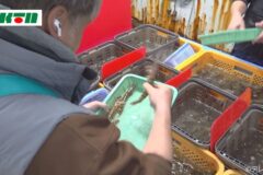 This is protected by copyright.