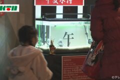 This is protected by copyright.