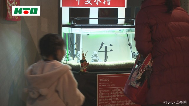 This is protected by copyright.